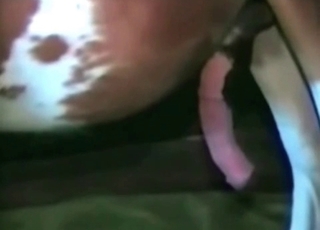 Pony pipe in her tight twat