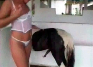 White horsy and a girl