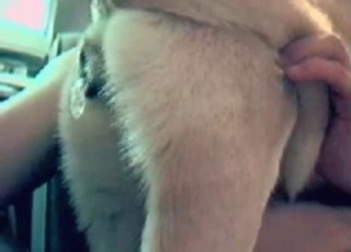 Dude jerks off in zoo sex scene