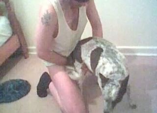 Dog sucking hard cock