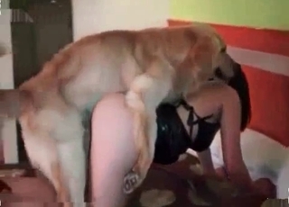 Masked brunette in zoo porn