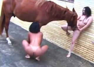 Pony licking out girl