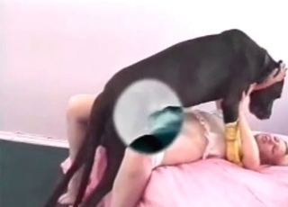Petite babe with a black mongrel