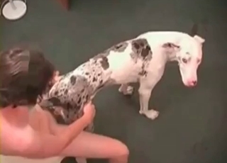 Sexy spotted beast is exploring his sexual side