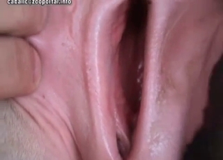 Awesome dirty animal action