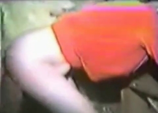 Black cock of a farm animal