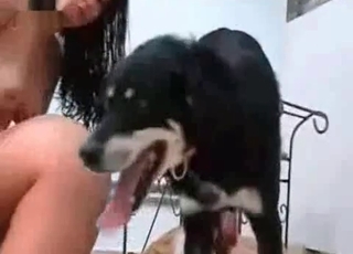 Two brunettes in the zoo porn