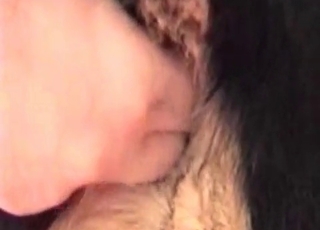 Zoo porn featuring dogs ass