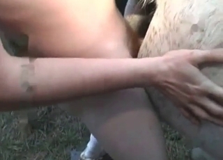 White stallion gets screwed hot