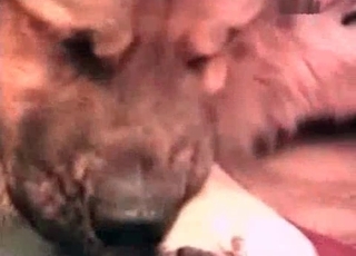 Zoo porn featuring hairy cunt