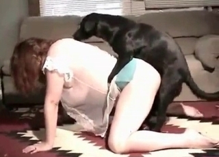 Small dog rewarded so hot