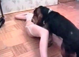 Mongrel with a skinny babe