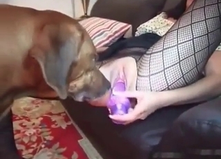 Skinny bitch sucks a doggy dick