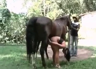Outdoor bestiality at the farm