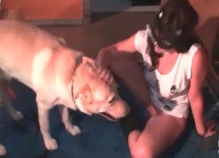 Red dick of a doggy licked by a masked zoophile