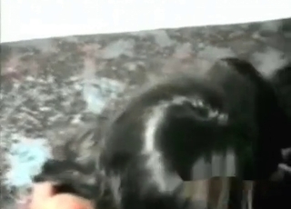 Smiling zoophile and black dog