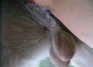Fucked by her own mutt