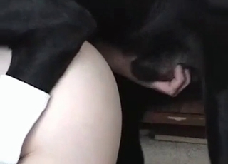Mongrel making girl cum